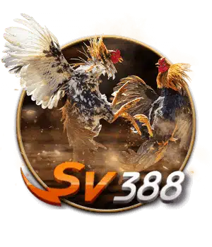 Daga SV388