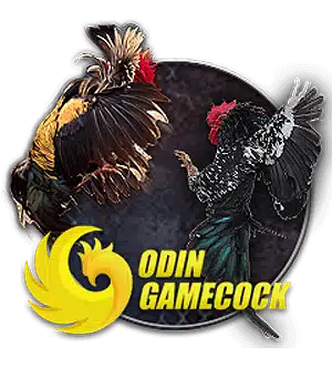 Odin Gamecock